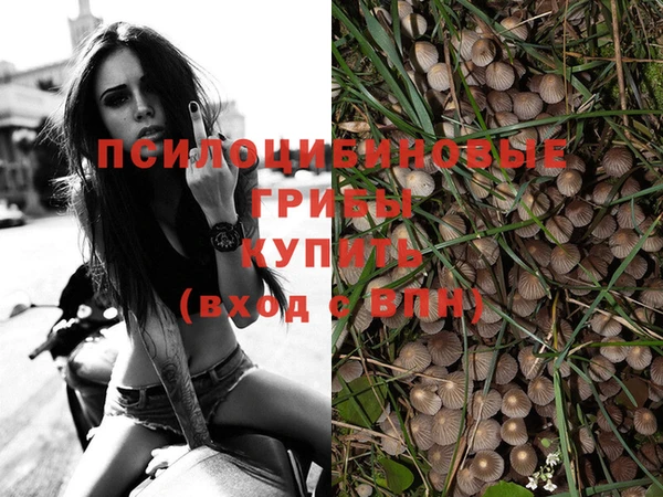 ПСИЛОЦИБИНОВЫЕ ГРИБЫ Краснотурьинск