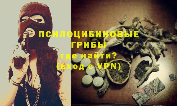 ПСИЛОЦИБИНОВЫЕ ГРИБЫ Краснотурьинск