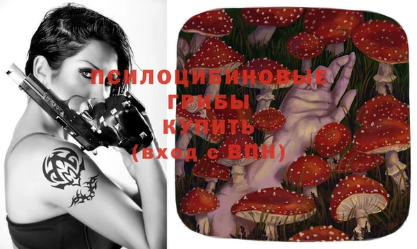 ПСИЛОЦИБИНОВЫЕ ГРИБЫ Краснотурьинск