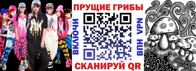 Псилоцибиновые грибы Cubensis  Купить  Каменск-Шахтинский 